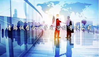 玉樹正規(guī)企業(yè)管理咨詢服務新報價 誠哲供應專業(yè)推薦